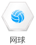 网球
